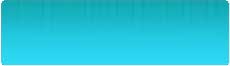 Website Designing in Delhi
